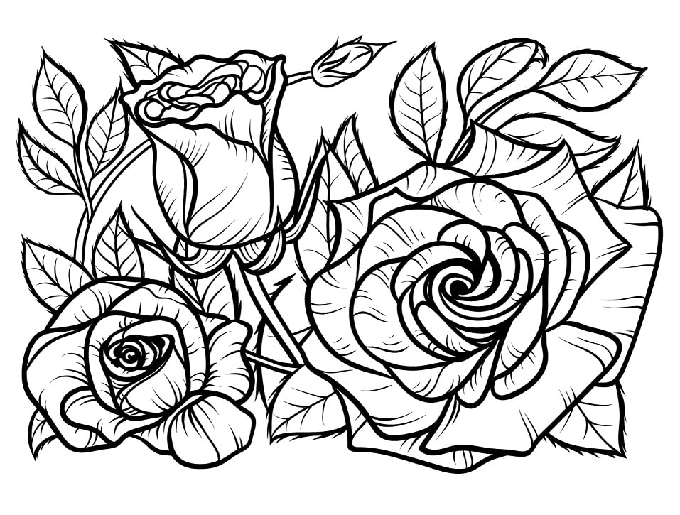 Desenhos de Rosas 1 para colorir