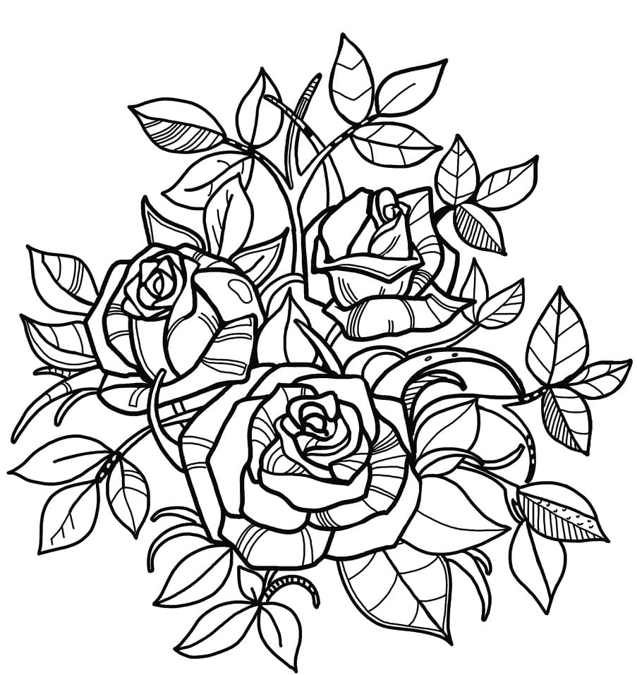 Rosas 2 para colorir