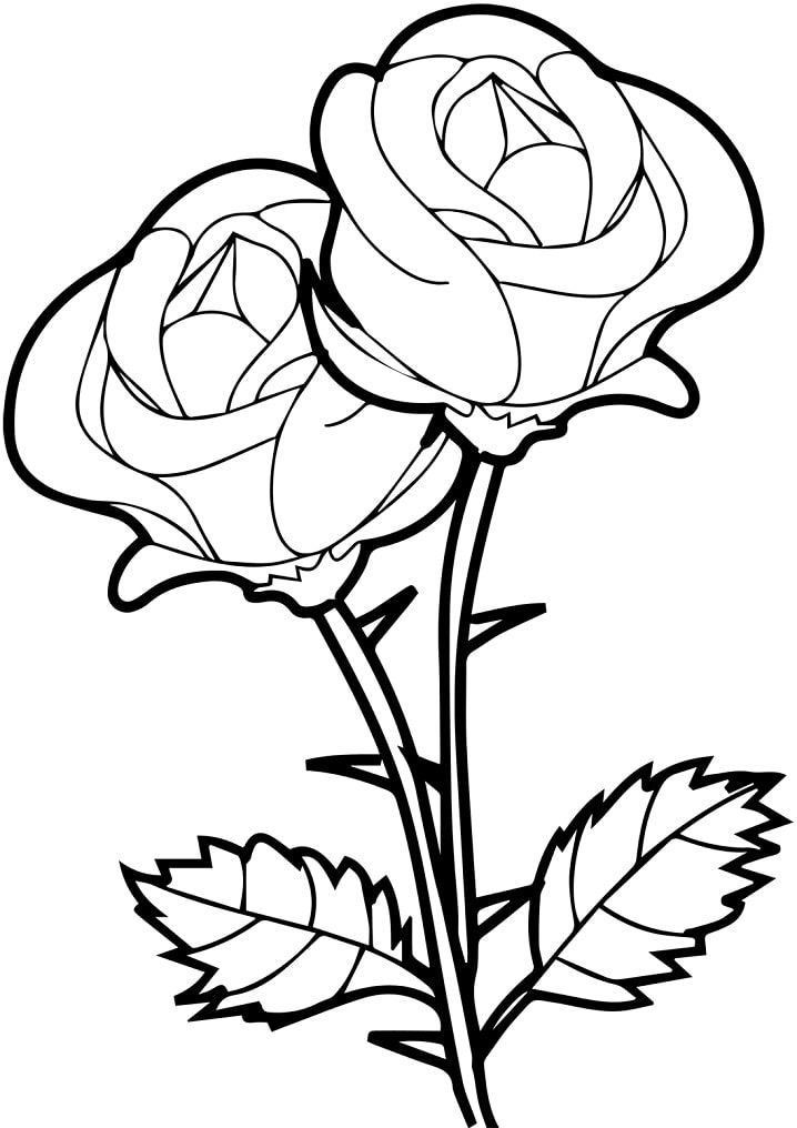 Desenhos de Rosas para colorir