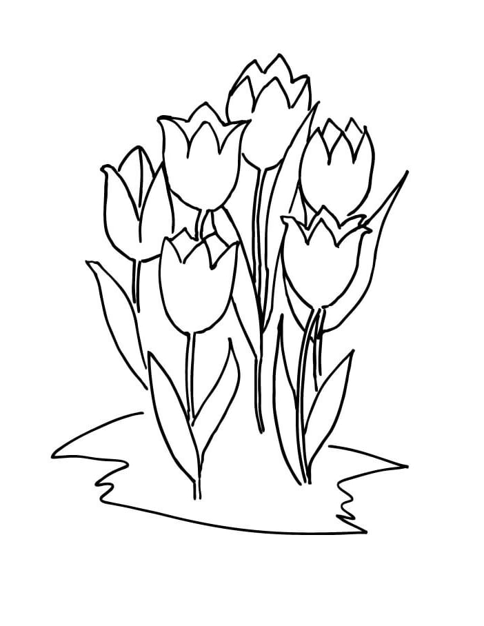 Desenhos de Seis tulipas para colorir