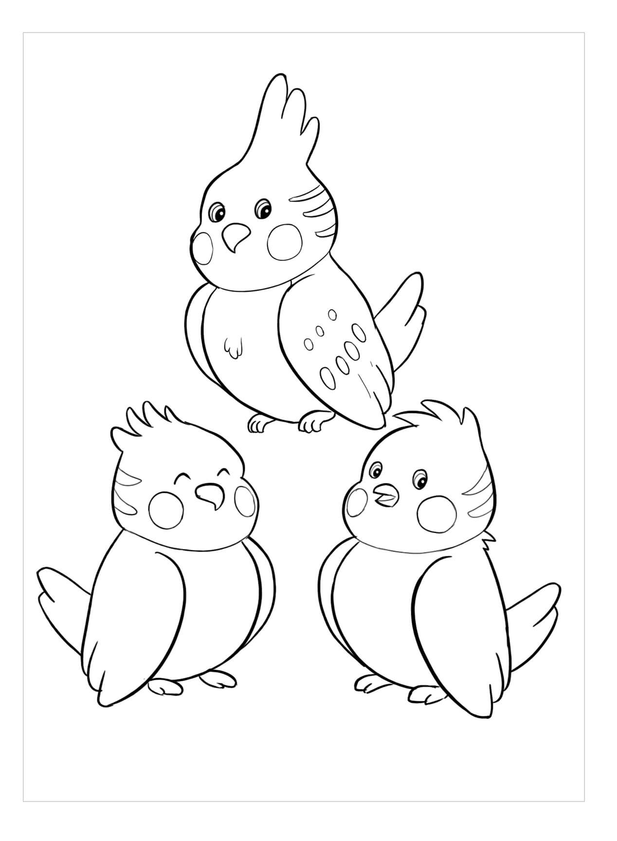 Desenhos de Três Pássaros Fofos para colorir