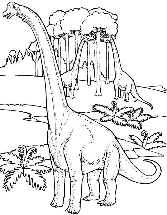 Três dinossauros de pescoço longo para colorir