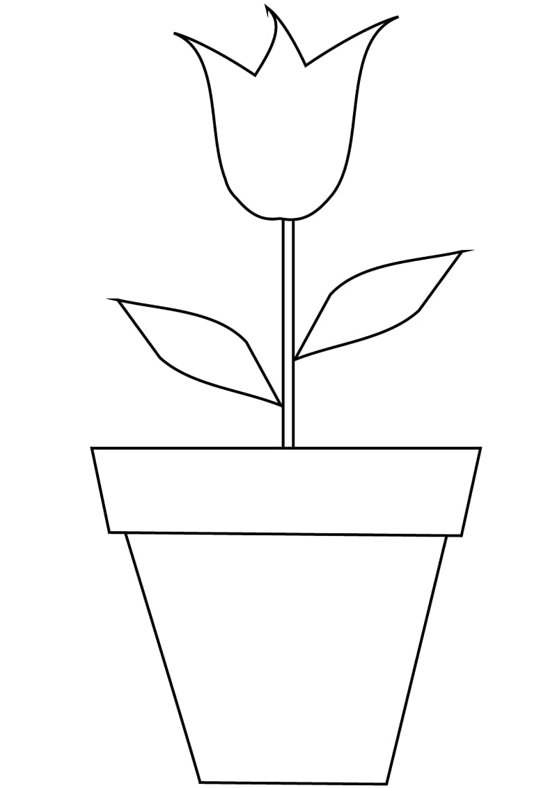 Tulipa num jarro para colorir
