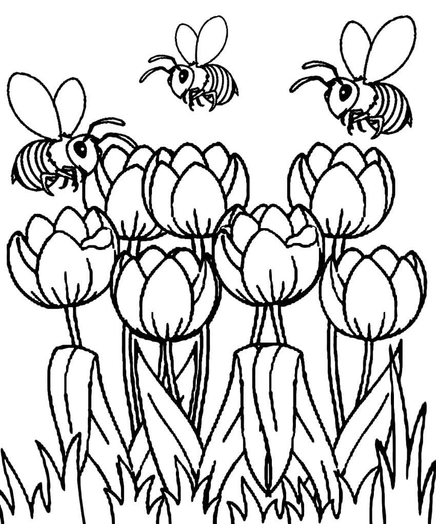 Tulipas e abelhas para colorir