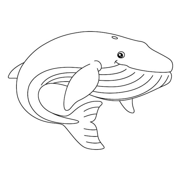 Desenhos de Baleia Adorável para colorir