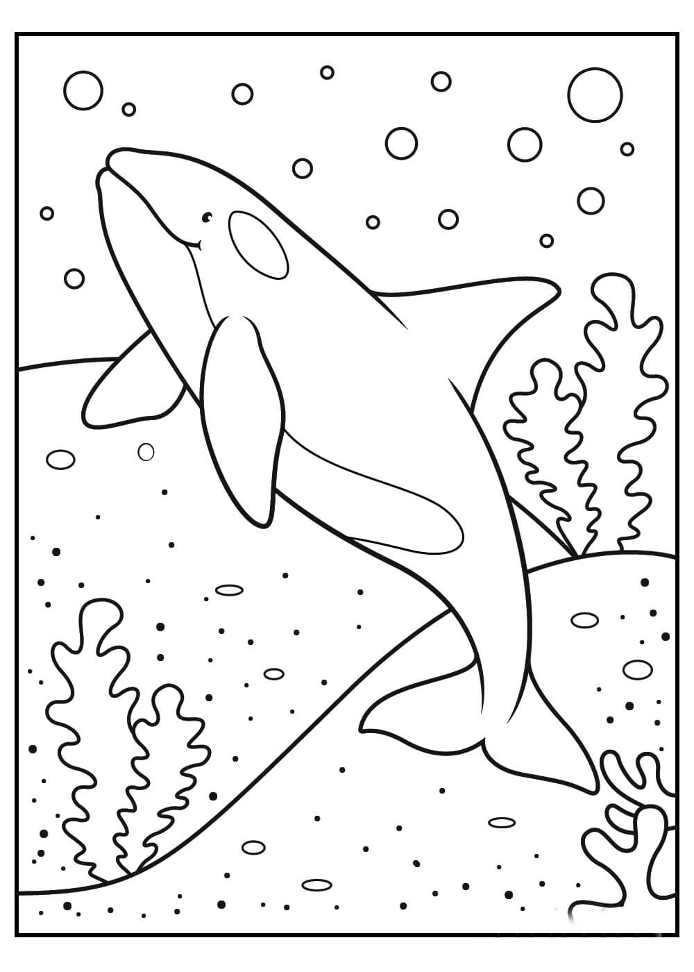 Desenhos de Baleia Básica para colorir
