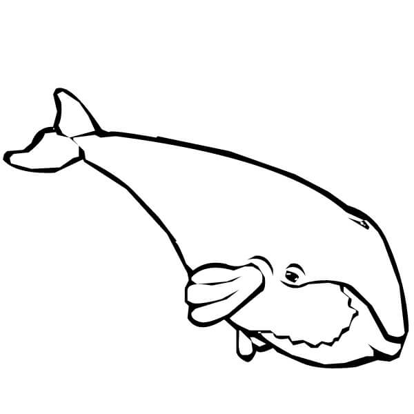 Desenhos de Baleia de Desenho Simples para colorir