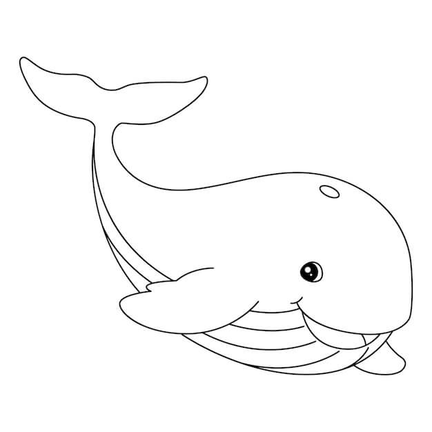 Desenhos de Baleia Divertida para colorir