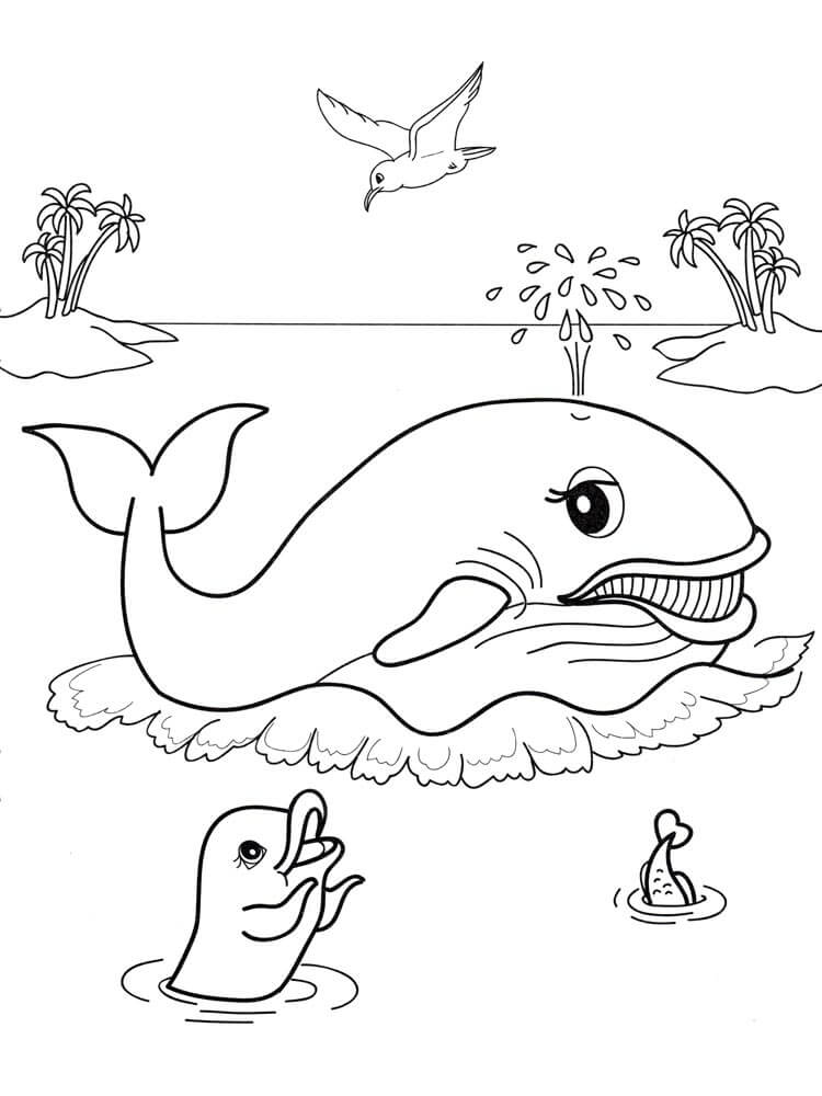 Desenhos de Baleia e Animal Marinho para colorir