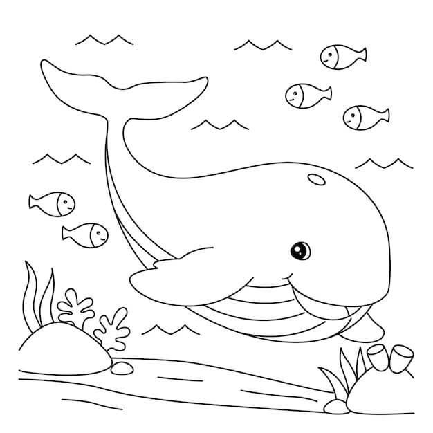 Baleia Engraçada com três Peixes para colorir