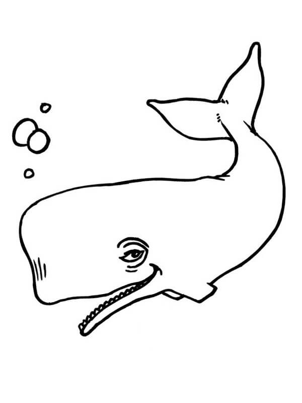 Desenhos de Baleia Engraçada para colorir