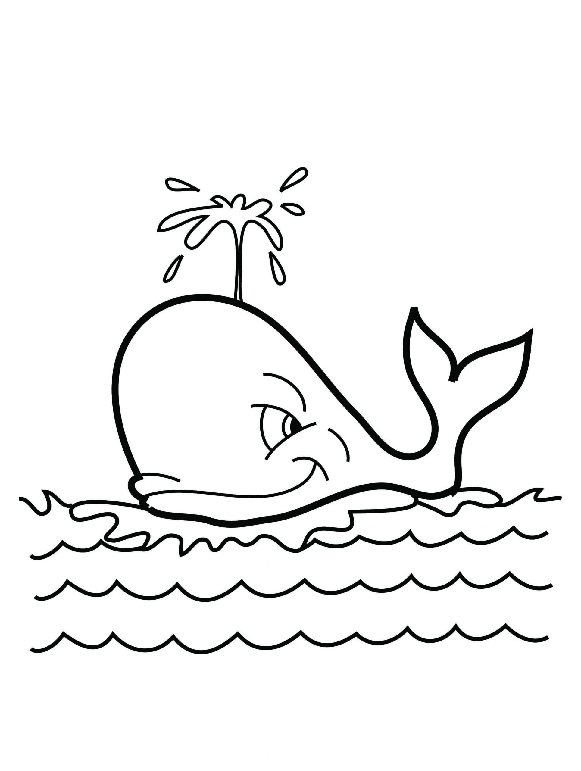 Desenhos de Baleia Normal para colorir
