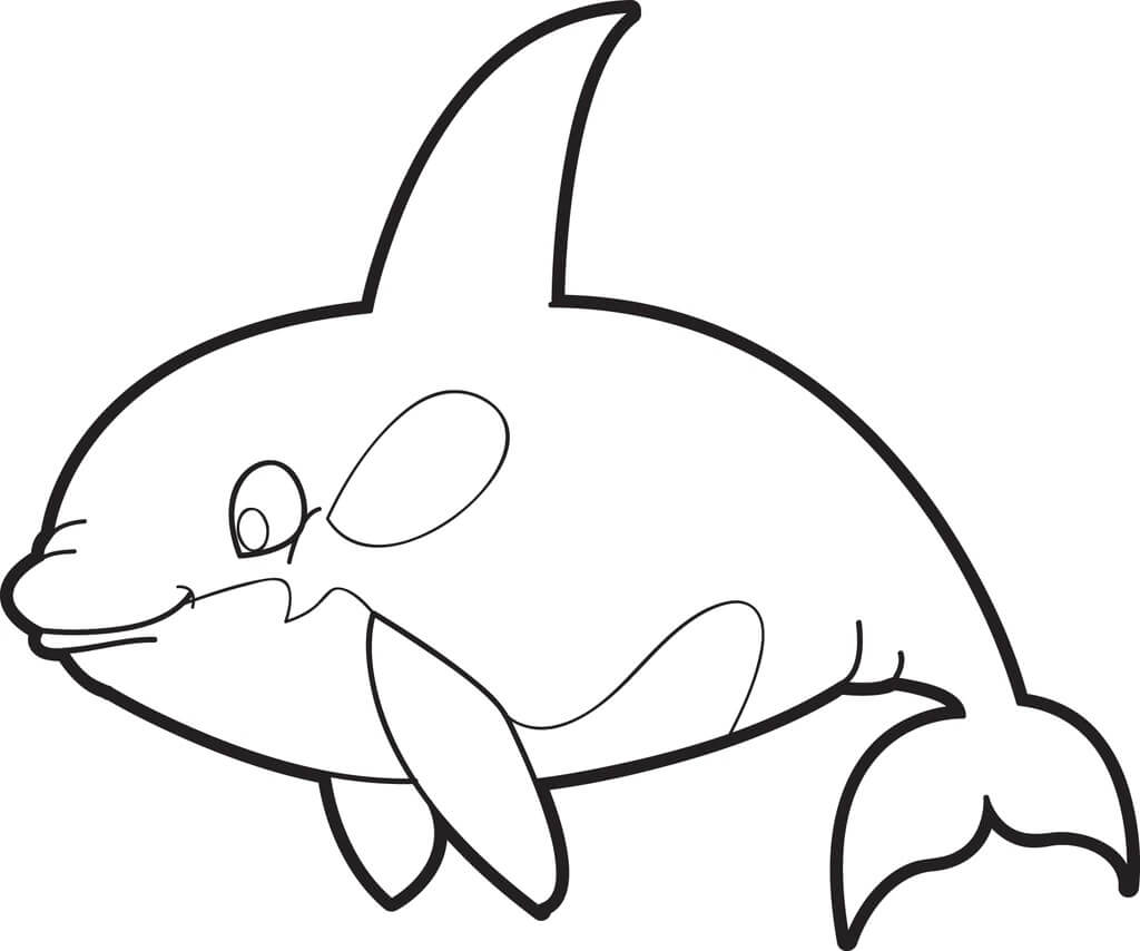 Desenhos de Boa Baleia para colorir