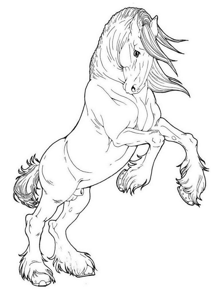 Desenhos de Bom Cavalo para colorir