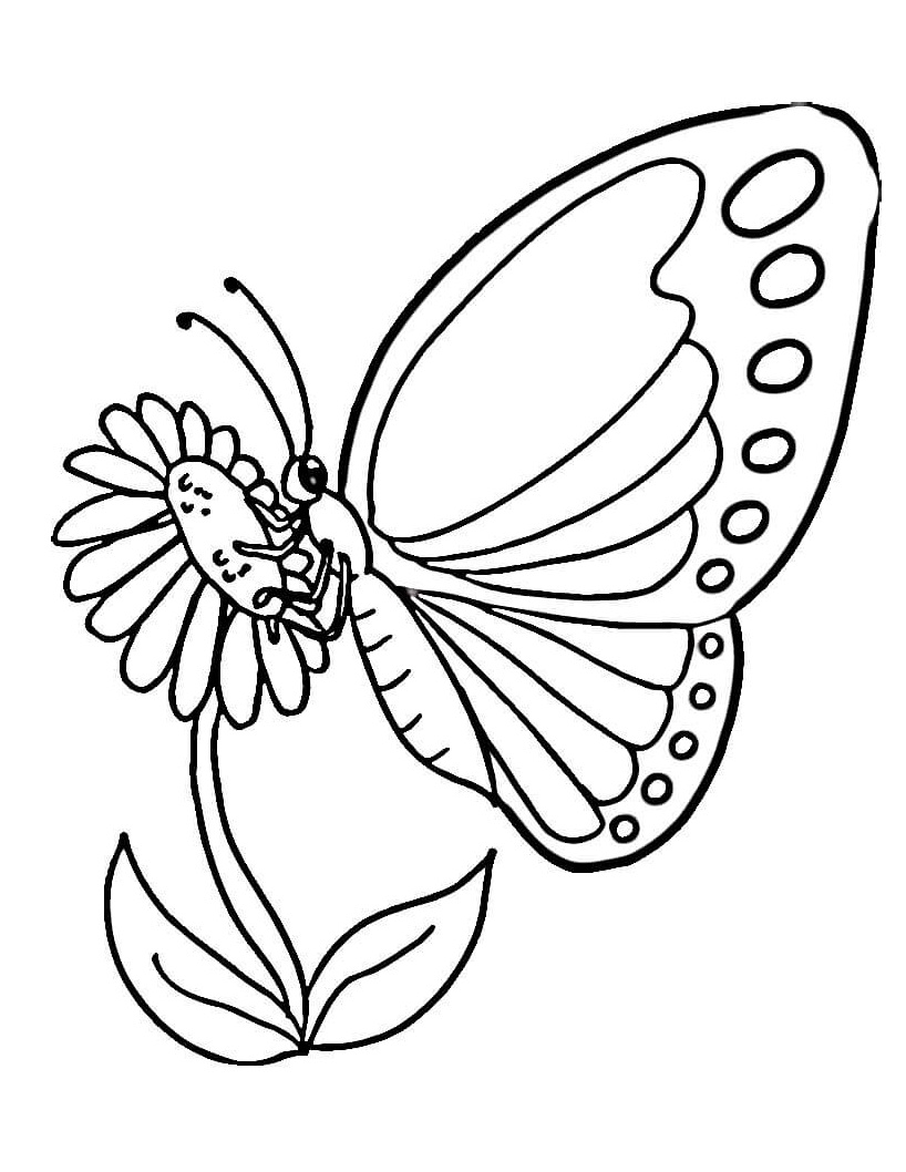 Borboleta Monarca para colorir