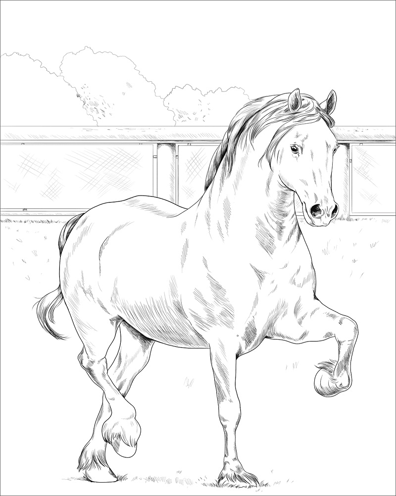 Desenhos de Cavalo Adorável para colorir