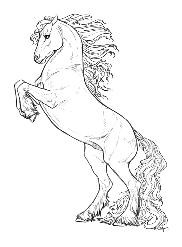 Desenhos de Cavalo Bonito para colorir