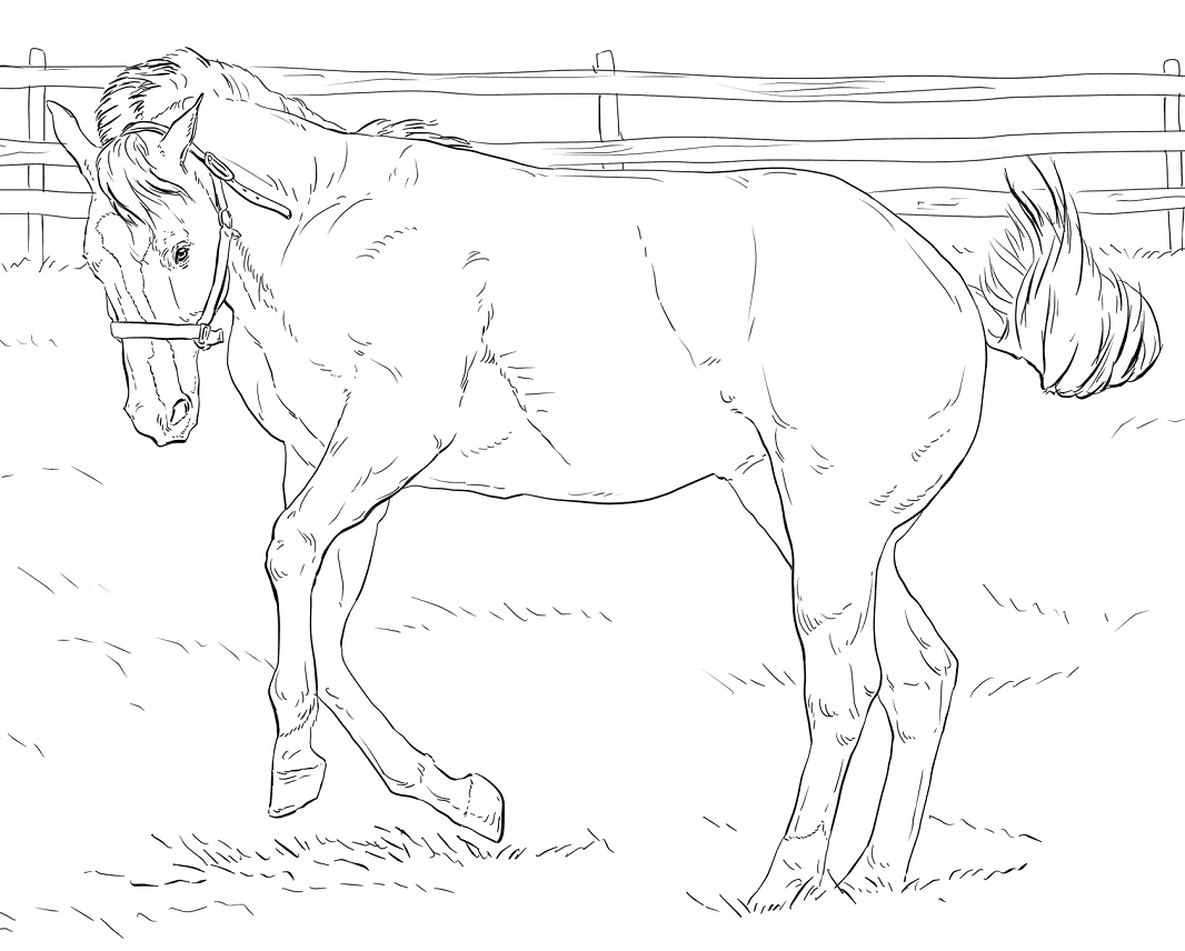 Desenhos de Cavalo Empinado para colorir