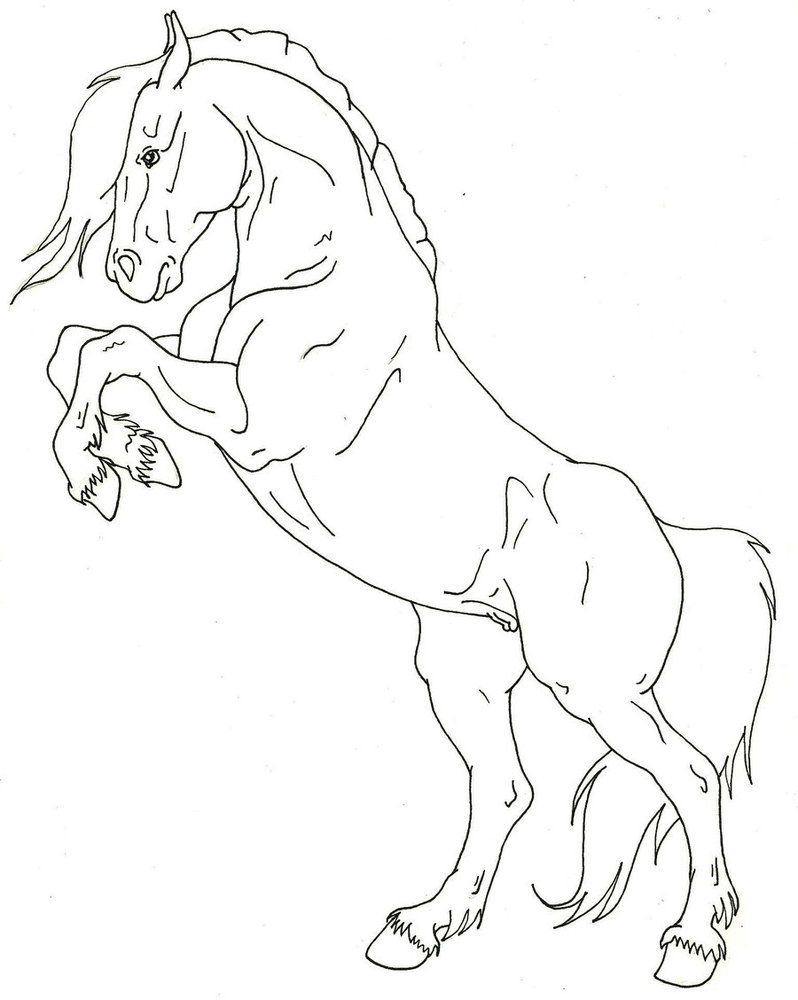 Desenhos de Cavalo Incrível para colorir
