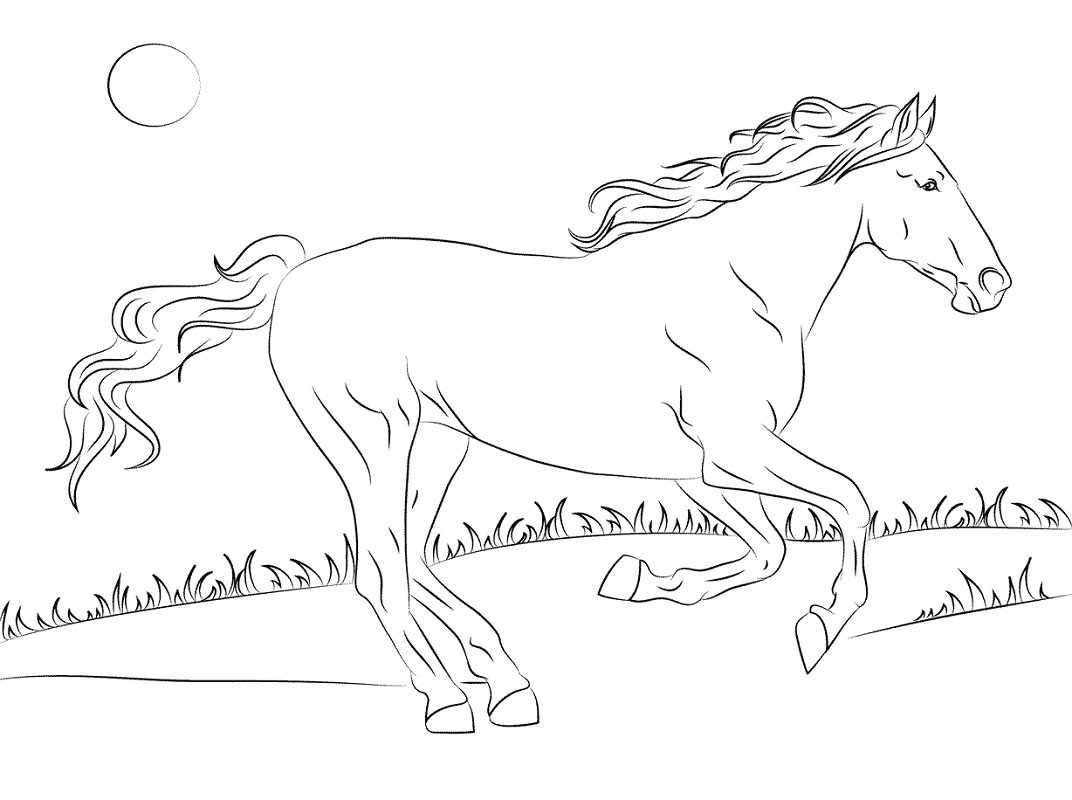 Desenhos de Cavalo Mustang para colorir