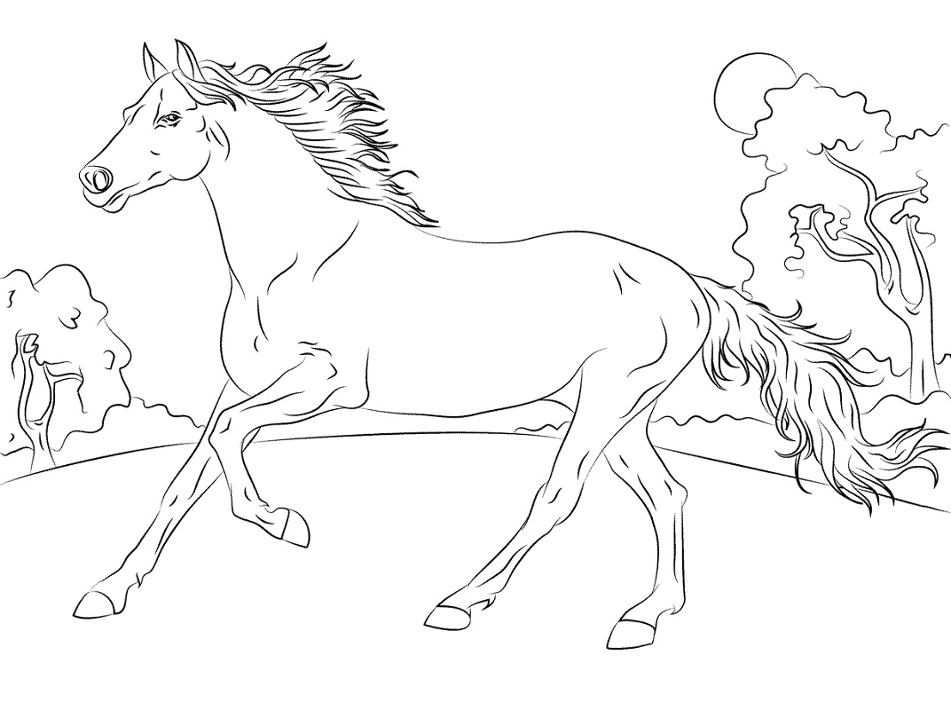 Desenhos de Cavalo Árabe Correndo para colorir