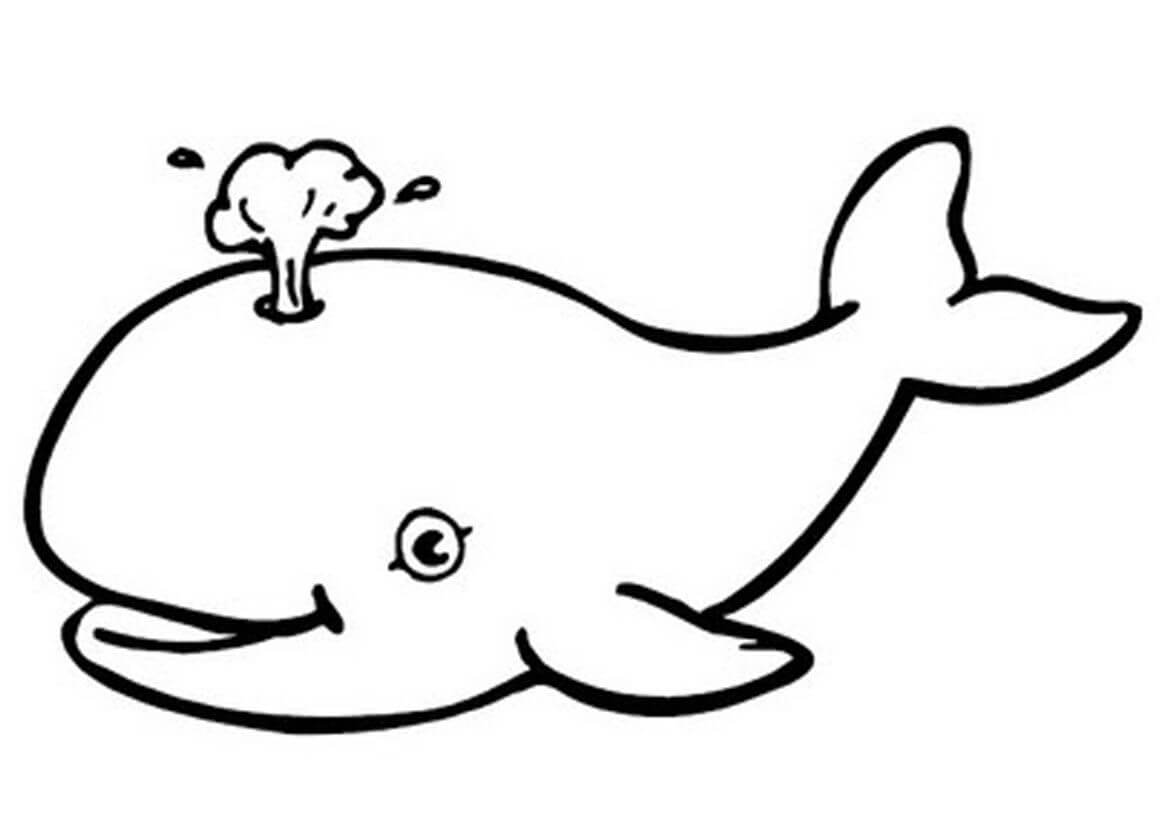 Desenho de Baleia para colorir