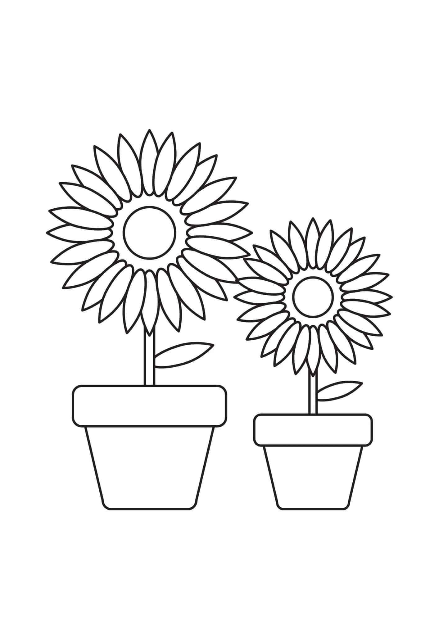 Desenhos de Dois Girassóis de Vasos para colorir