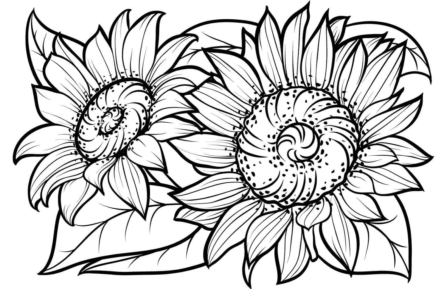 Desenhos de Dois Girassóis para colorir