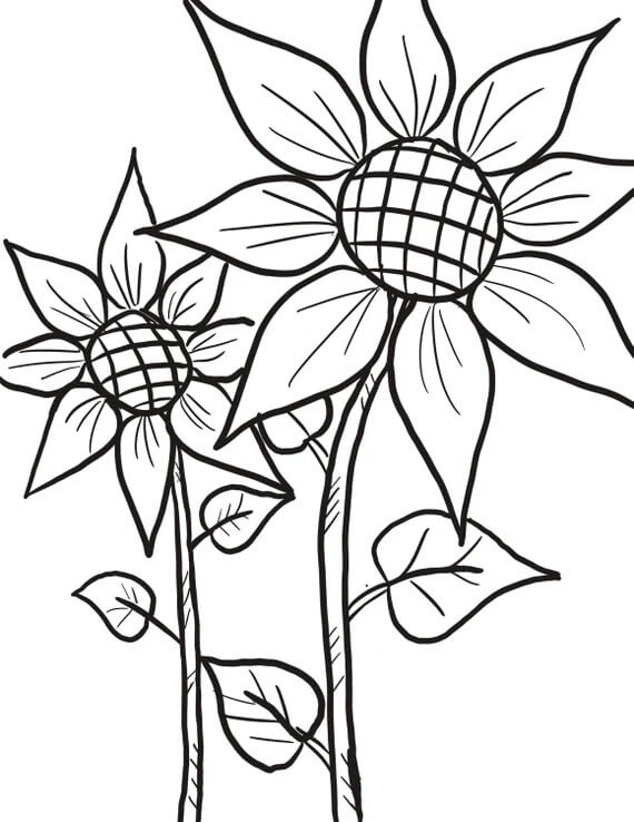 Desenhos de Duas Árvores de Girassol para colorir