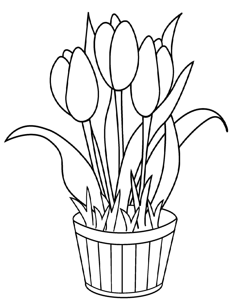 Desenhos de tulipas em uma panela para colorir