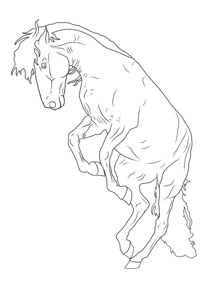 Desenhos de Um Cavalo para colorir