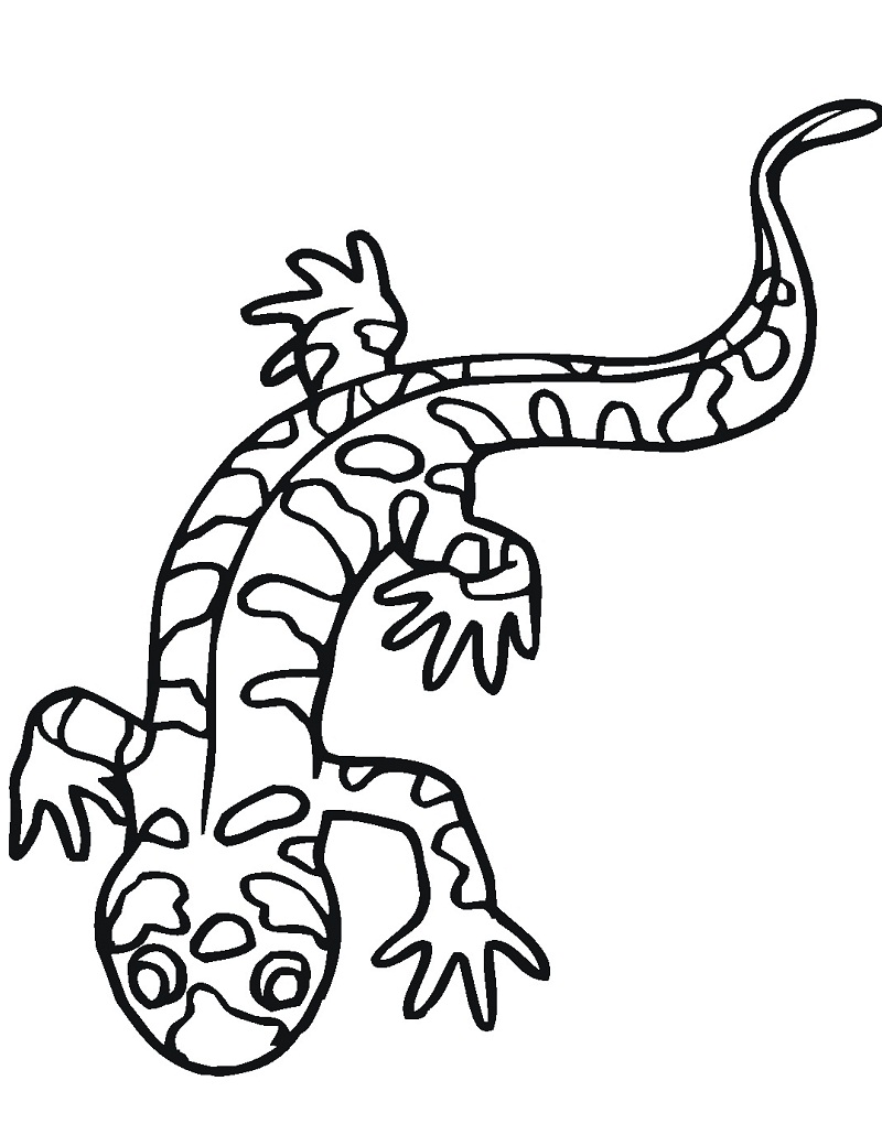 Desenhos de Uma Salamandra para colorir