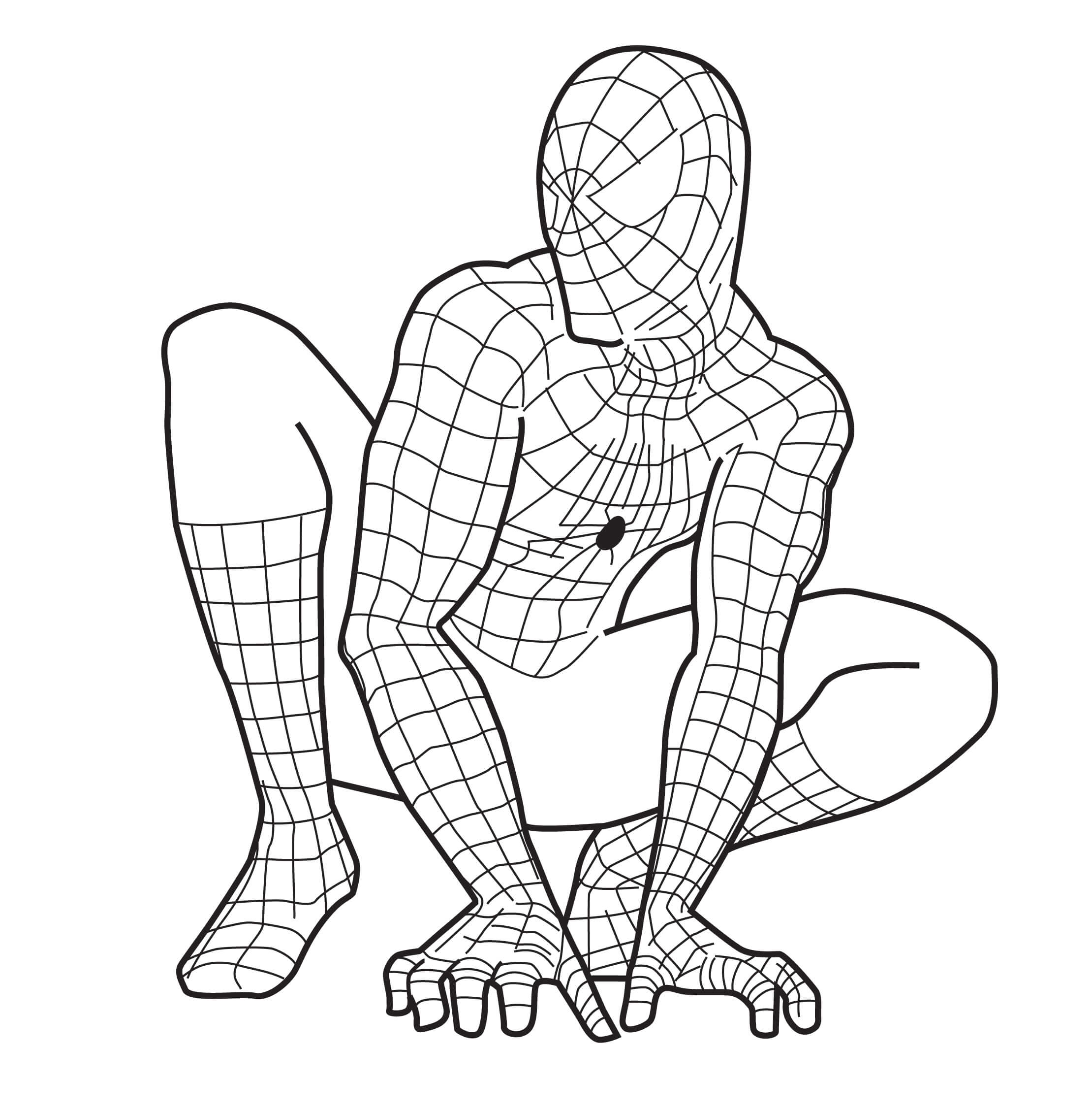 Agradável Homem-Aranha para colorir