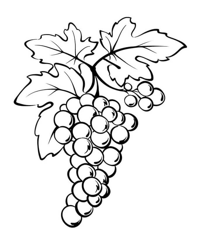 Desenhos de Boas Uvas para colorir