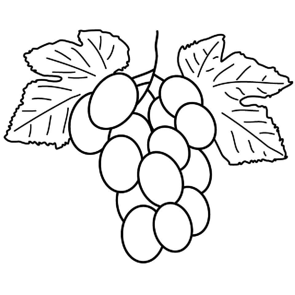 Desenhos de Cacho de Uvas para colorir