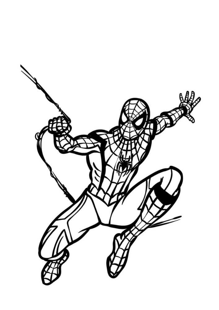 Desenhos de Desenho Básico do Homem Aranha para colorir