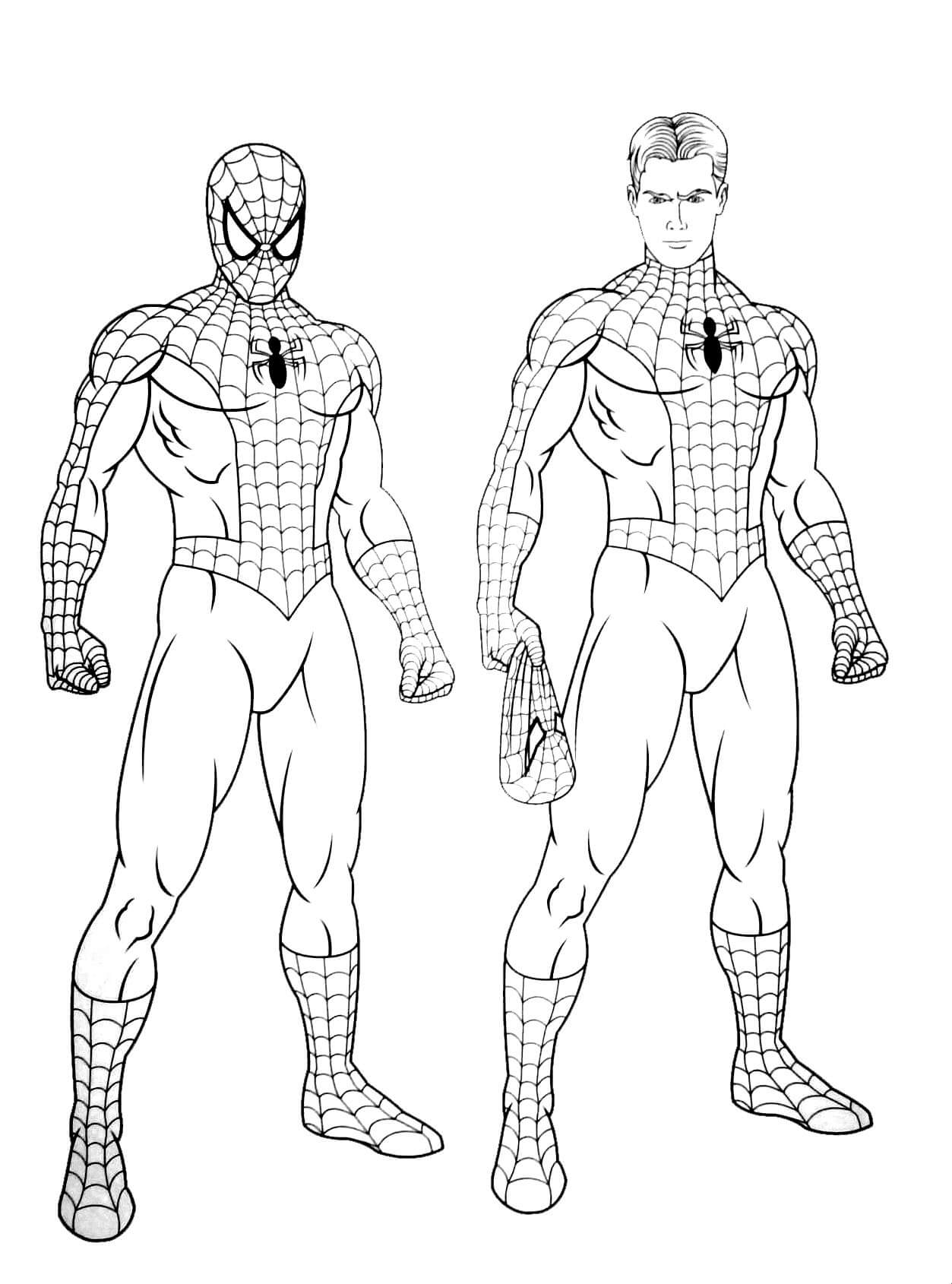 Dois Homens-Aranha para colorir