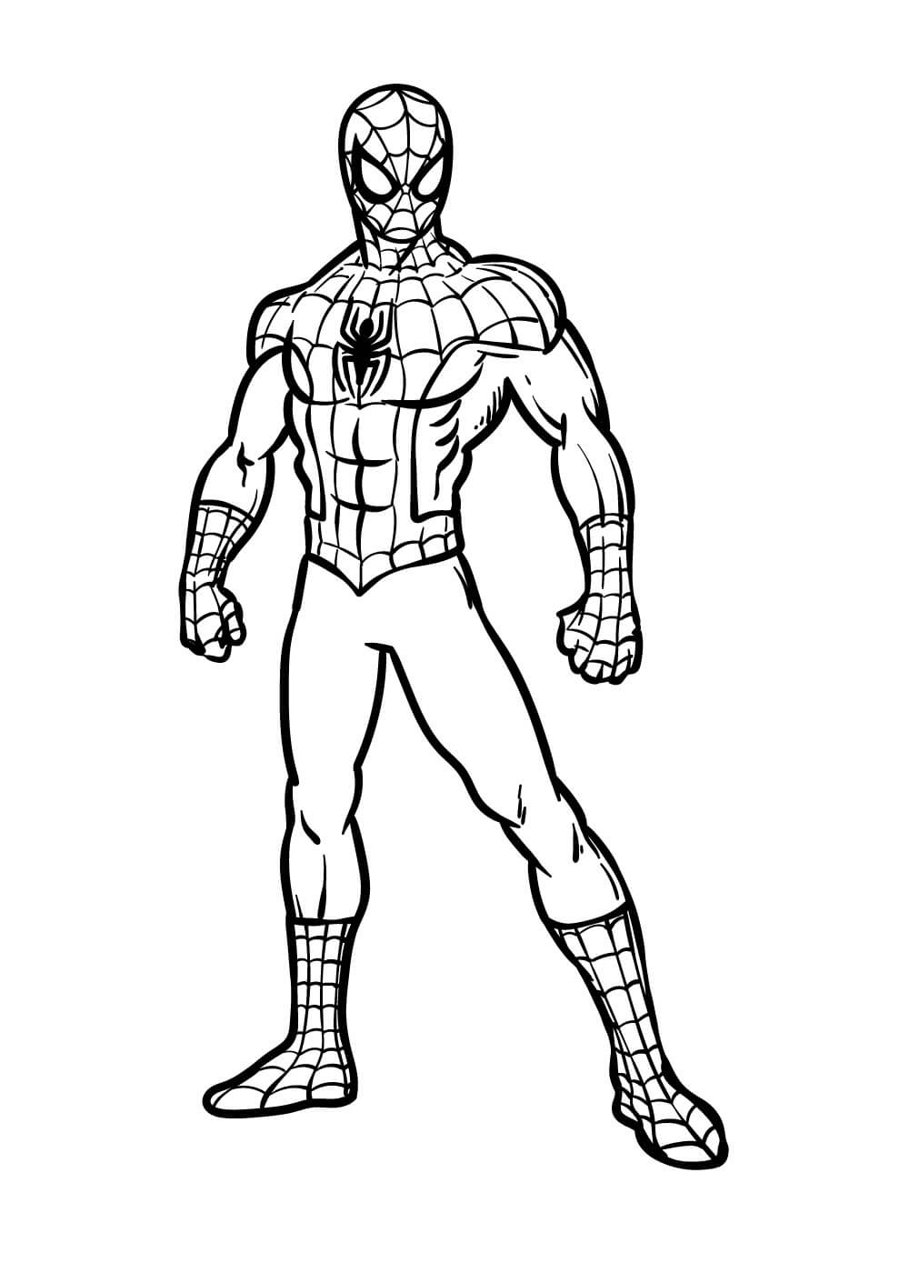 Homem Aranha Básico para colorir