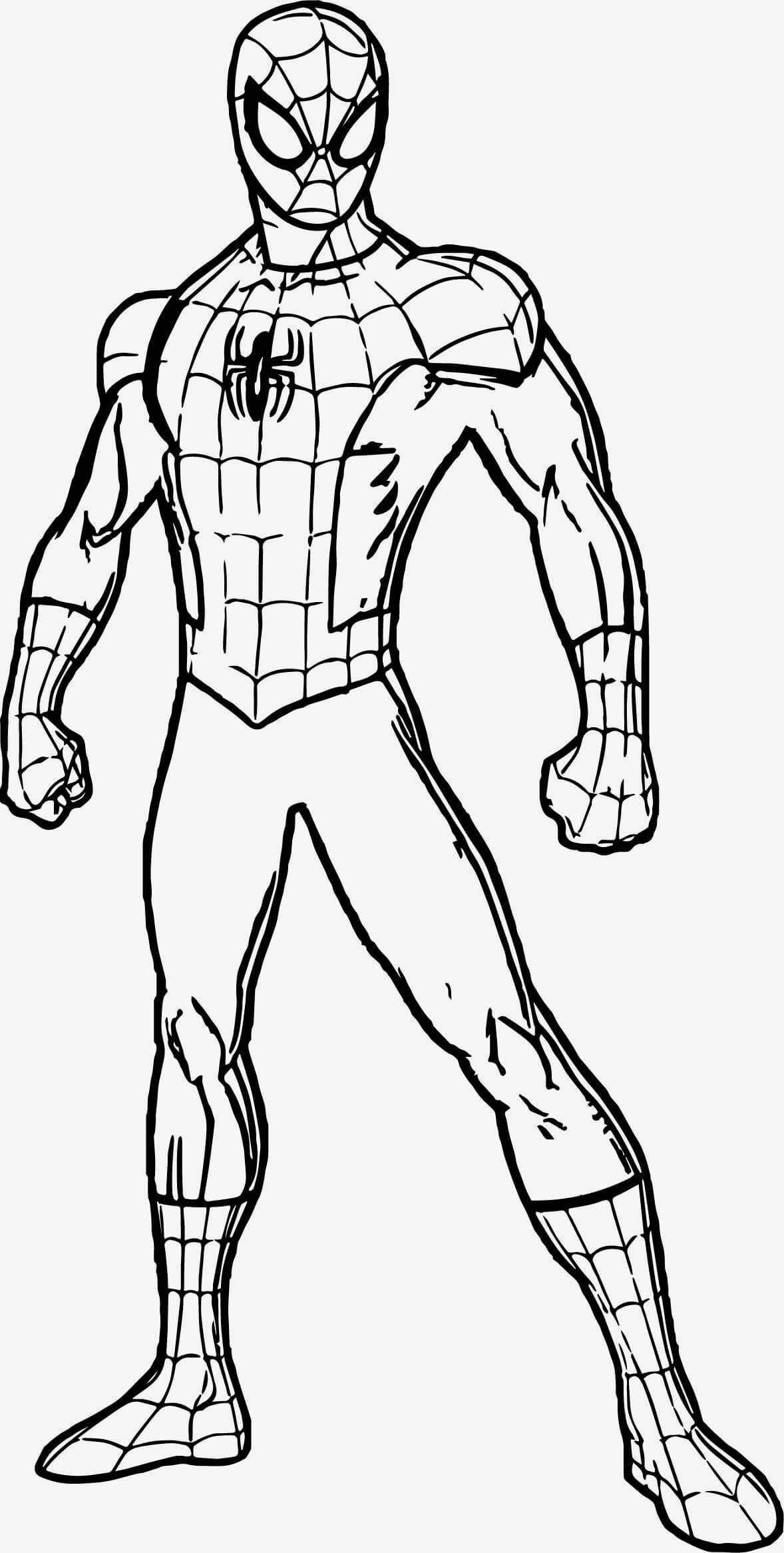 Homem Aranha Normal para colorir