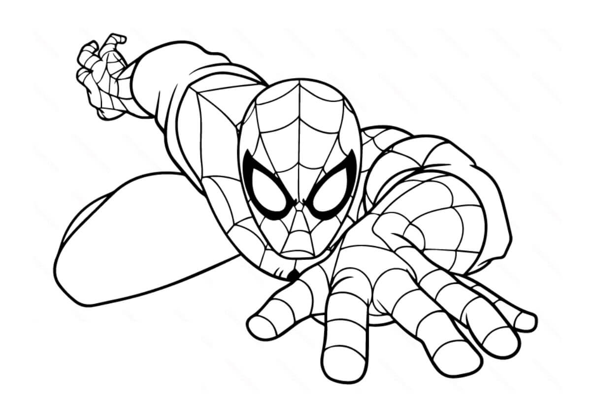 Homem Aranha Simples para colorir