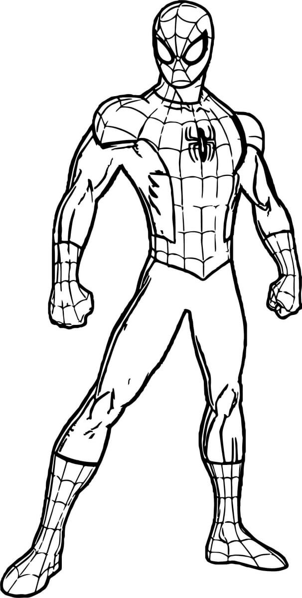 Desenhos de Imagens do Homem-Aranha Grátis para colorir