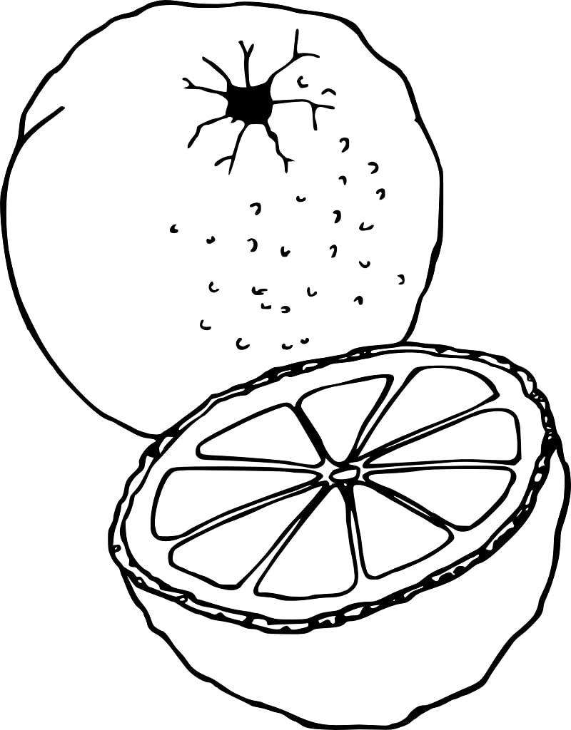 Desenhos de Laranja e Meia 1 para colorir