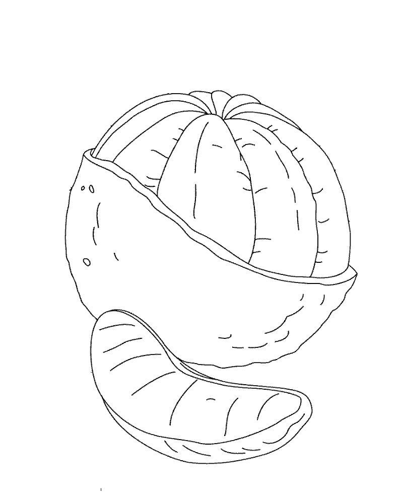 Desenhos de Laranja e uma Fatia 2 para colorir