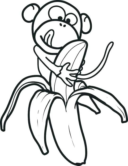 Macaquinho Comendo Banana para colorir