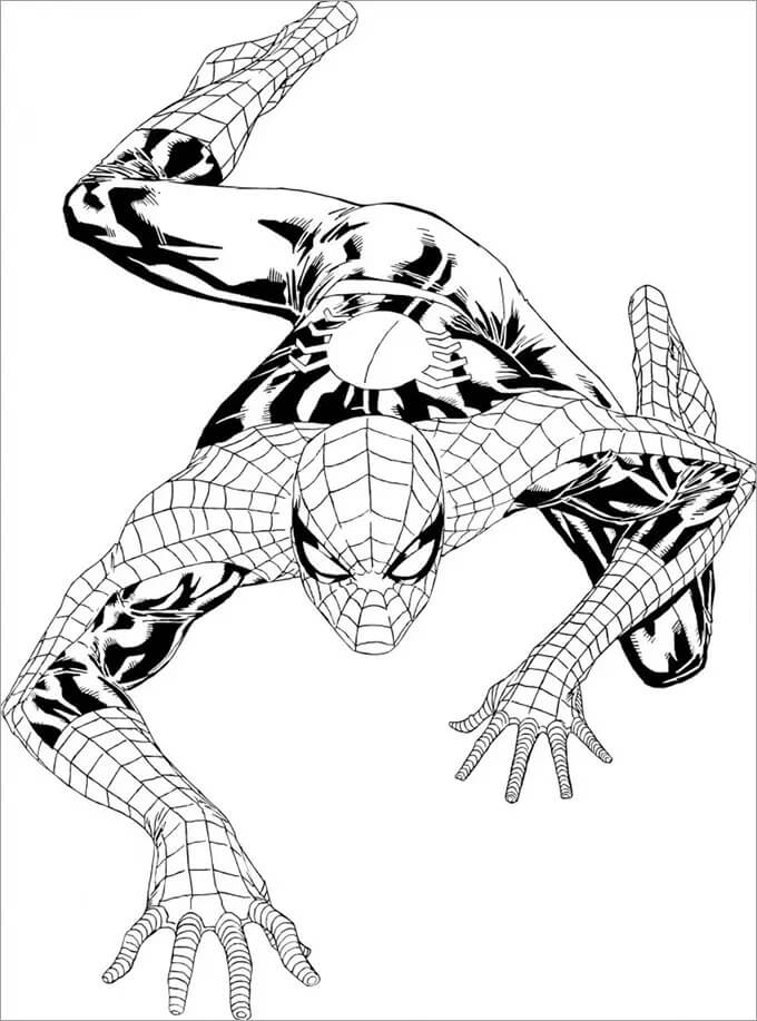 Desenhos de Quadrinhos do Homem Aranha Escalando para colorir