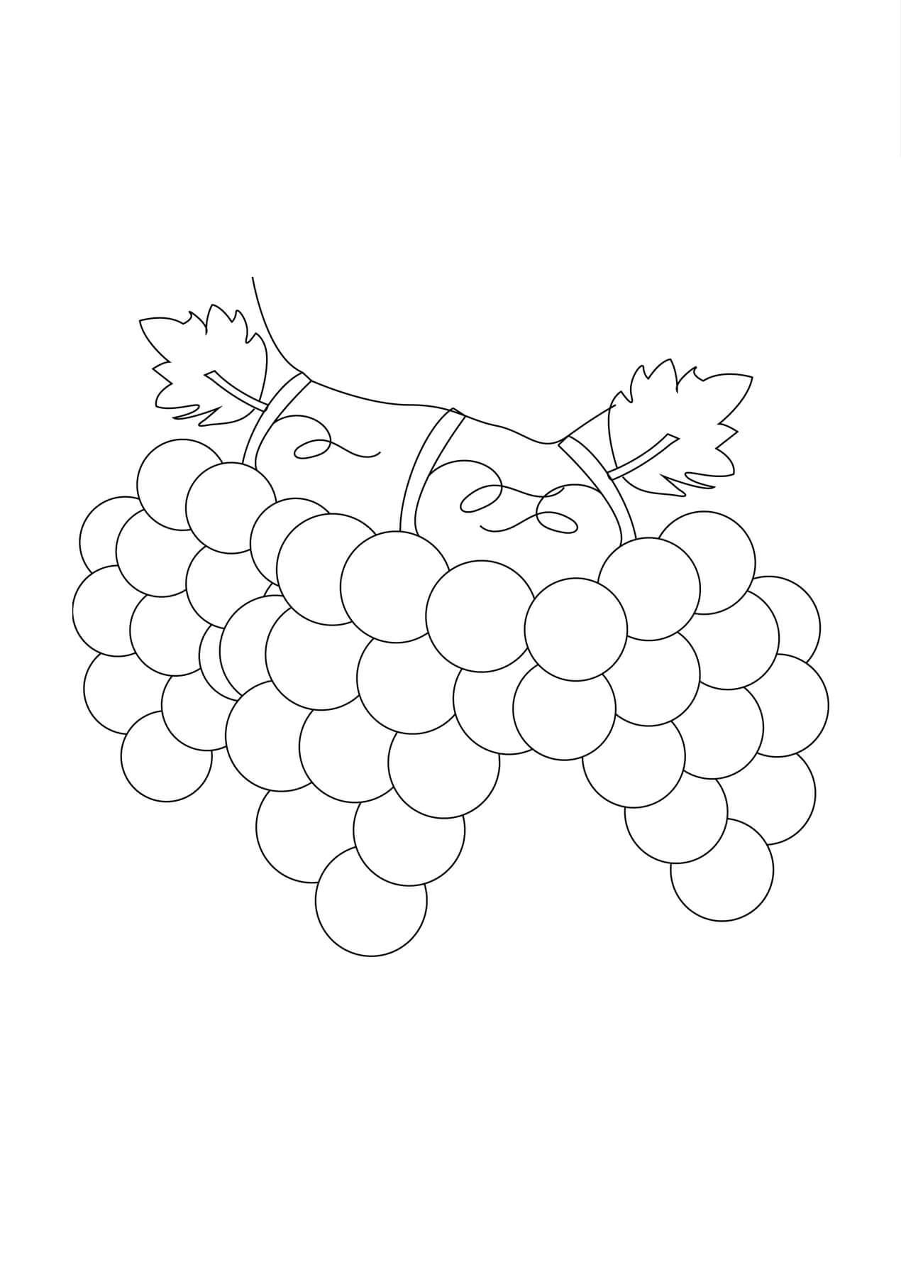 Desenhos de Ramo de Uva para colorir