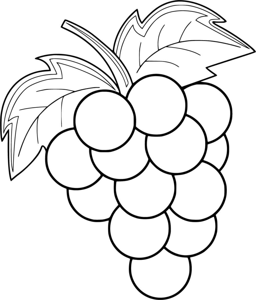 Desenhos de Uvas Básica para colorir