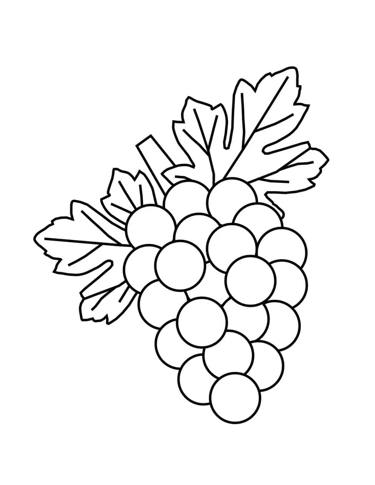 Desenhos de Uvas Normal para colorir