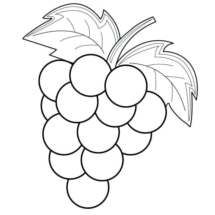 Desenhos de Uvas Simples para colorir