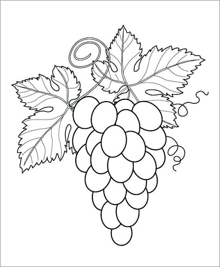 Desenhos de Uvas com Duas Folhas para colorir